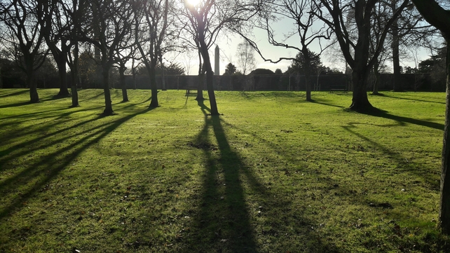 Finalist: Paul Callan, National Botanic Gardens, Dublin