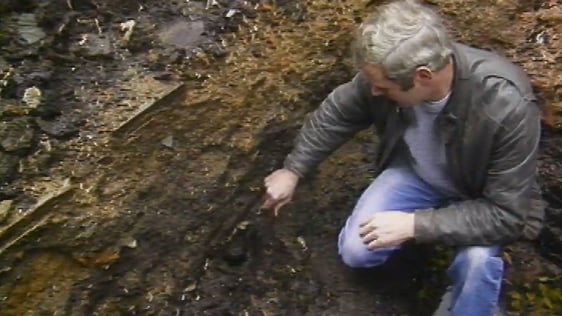 Wexford Archaeology (1988)