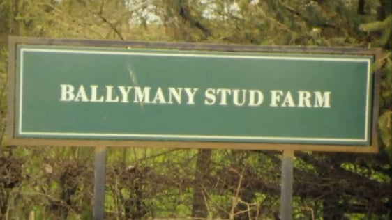 Ballymany Stud Farm