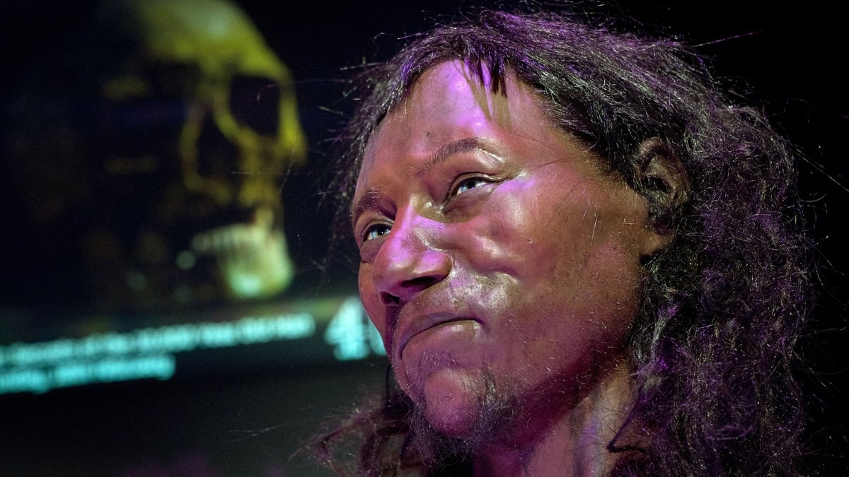 'Likely' early Irish were also dark-skinned