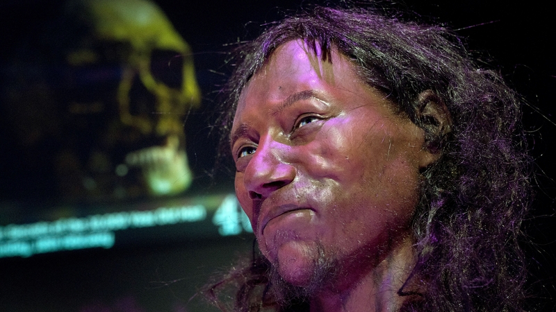 Dutch artists used a high-tech scanner to make a three-dimensional model of Cheddar Man's head