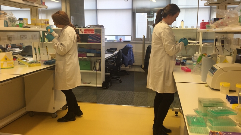 Scientists at the Lambe Institute at NUI Galway have spent five years on the project