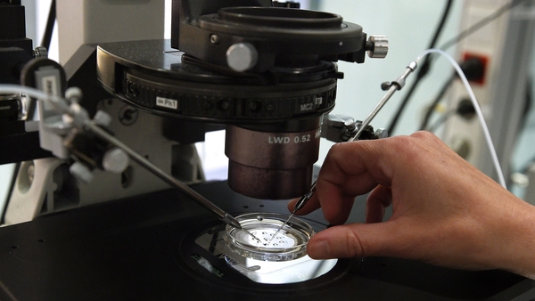 Around 6,000 IVF cycles are undertaken every year in Ireland