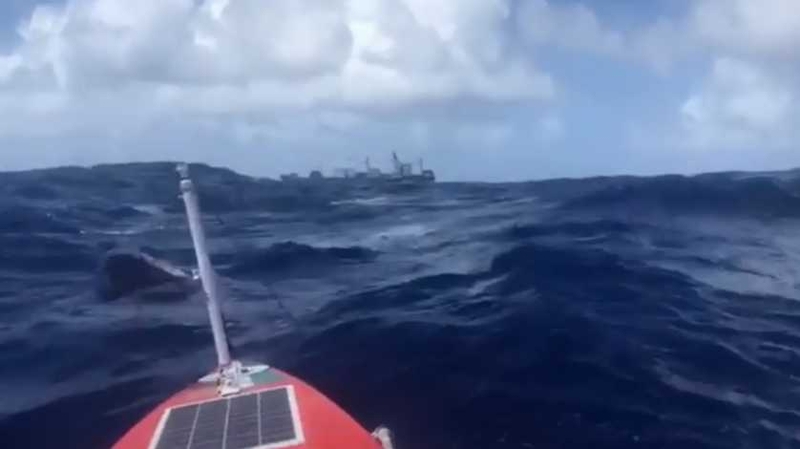 Damian Browne posted footage of his encounter with a cargo ship on social media