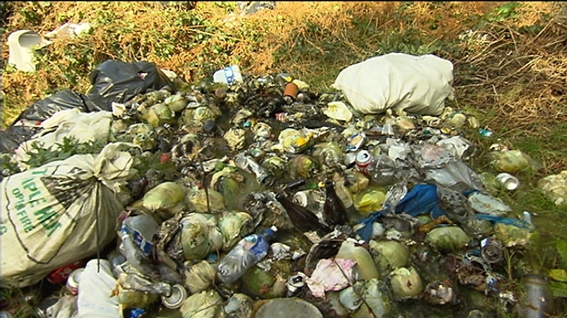 Bogus waste collectors are among those targeted