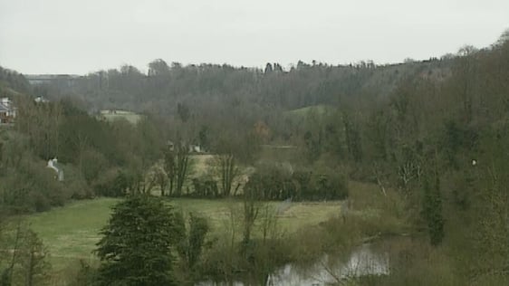 The river Liffey valley, Lucan, County Dublin (1993)