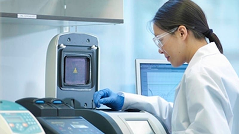 he jobs at Quidel's Galway facility will include finance, human resources, customer service, technical support, sales, marketing, IT and legal positions