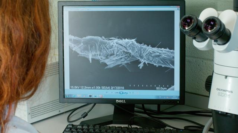 "There is now evidence that some of these toxins on the microplastics can be transferred to animals that eat them with potential harmful effects" Photo: Dawid Piotr Szlaga