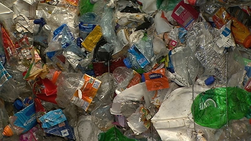 The Greens were critical of the Government's decision to abstain on a vote on the prevention of single use plastics