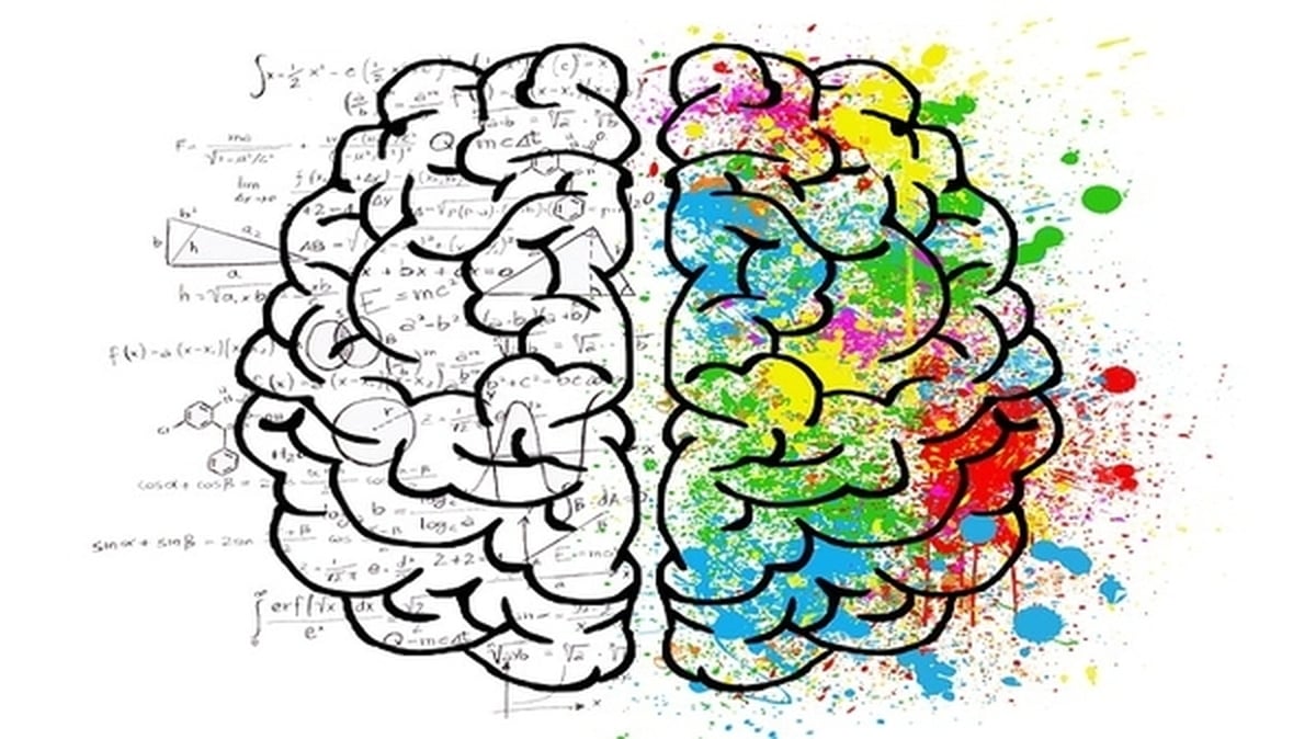 Trinity Brain Fog Research