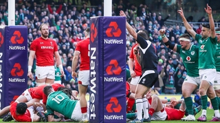 Ireland celebrate Dan Leavy's try