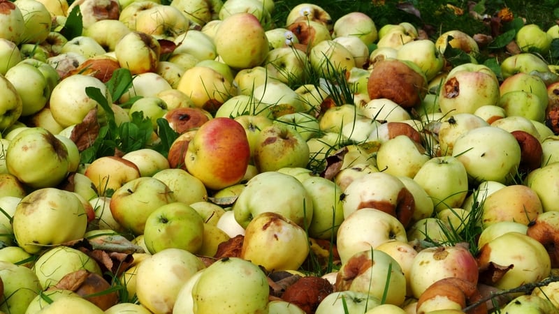 An apple a day can heat your house