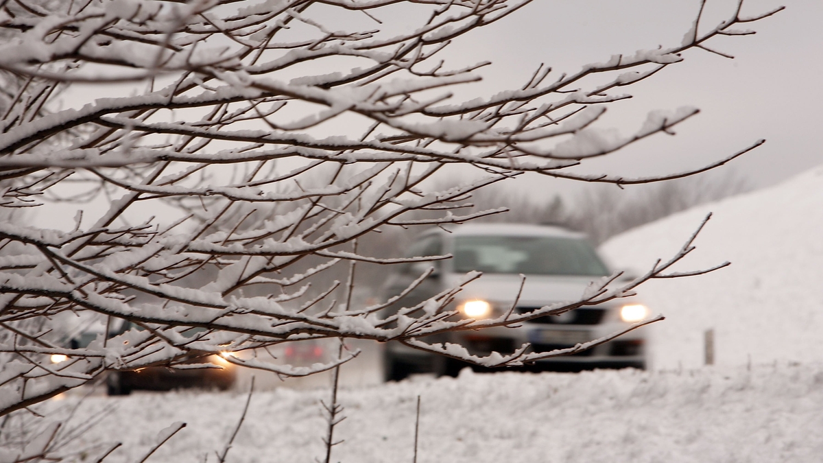 'We're Irish, we don't have the talent for this sort of weather'