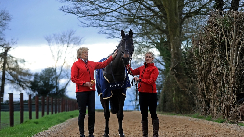 Sizing John may have a gallop at Leopardstown prior to his Gold Cup defence