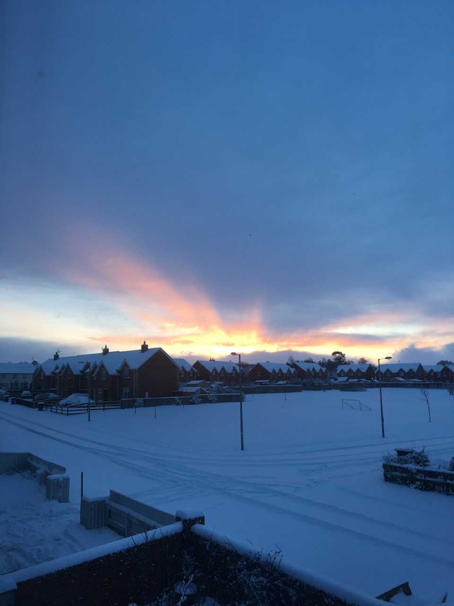 The Swan, Co Laois (Pic: Sophie Dowdall)