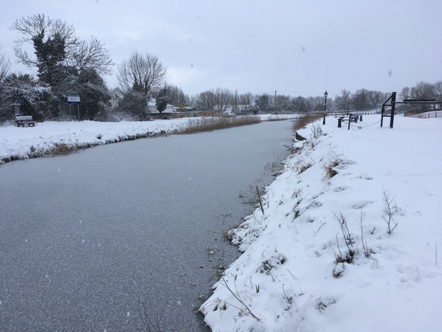 The Grand Canal in Roberstown, Co Kildare (Pic: Dave Kelly)