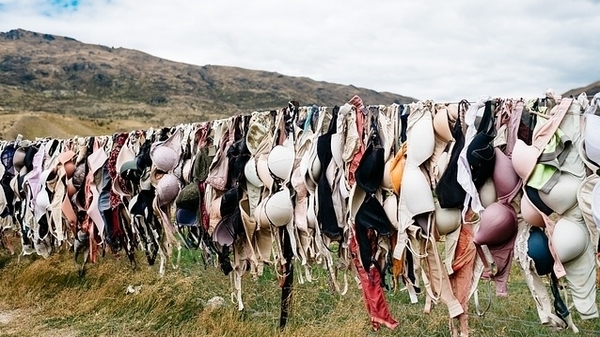 Documentary on One: The Common Thread