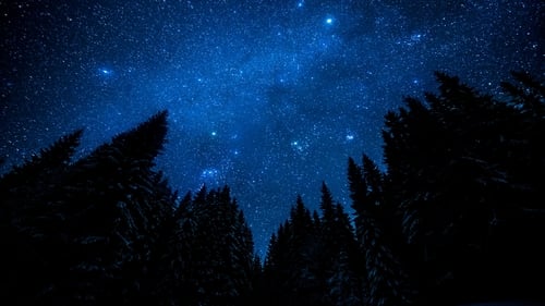 "The formation of the first stars had a dramatic effect on the rest of the universe"