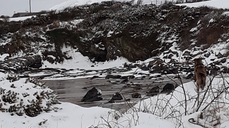 Snow in Linsfort, Co Donegal, yesterday