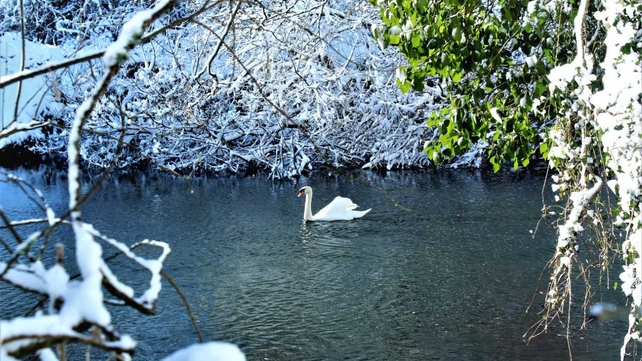 Bandon, Cork - By Peter Madden
