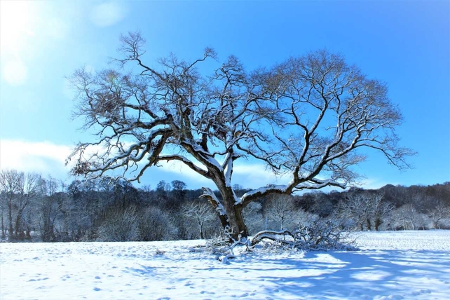 Bandon, west Cork by Peter Madden