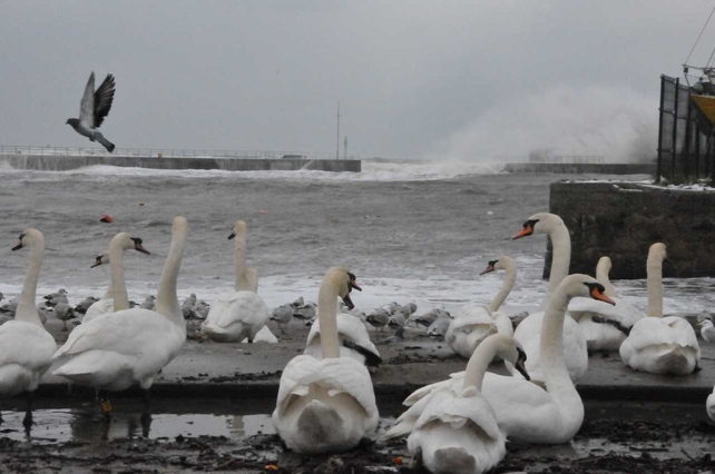 Bray, Wicklow - By Mike Donohue