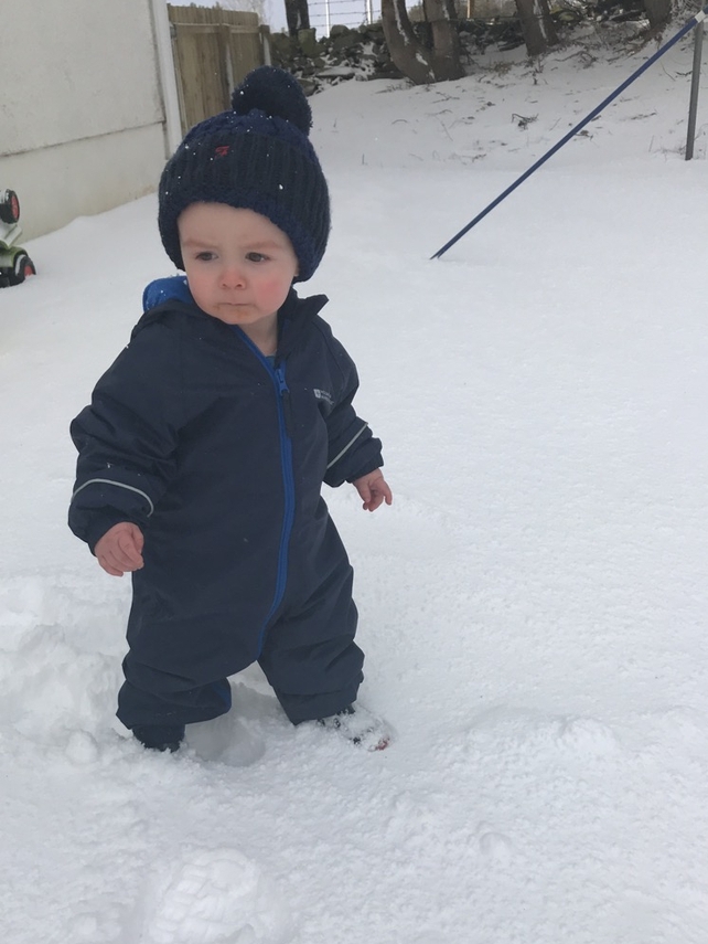 Taking in the snow in Greencastle, Donegal - By Charlie McLaughlin