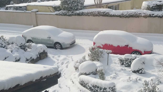 Ballinasnow in Ballinasloe - By Frank Hunt