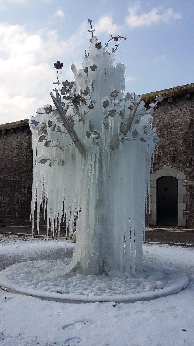 An icy work of art in Limerick - Photo by Shay Waldron