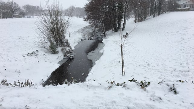 Marley Court in Rathfarnham, Dublin (Pic: Dermot Quinn)