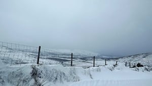 Snow at Conor Pass in Dingle (Pic: Collette Leahy)