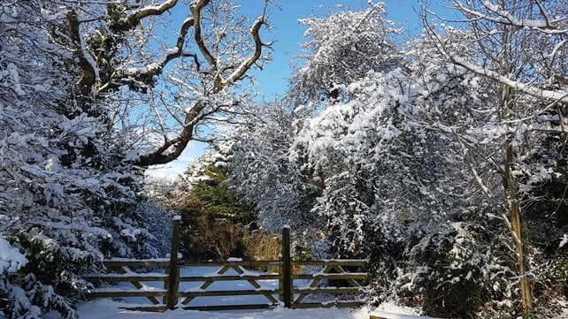 Tullamore Co Offaly (Pic: Rosemary Egan)