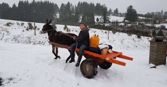 Country living in Waterford (Pic: Emma Daly)