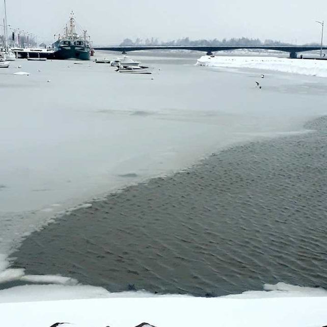 Wexford Quay. By Sharon Steele