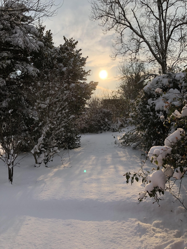 All white, all bright. By Derville Buckley in Tullamore
