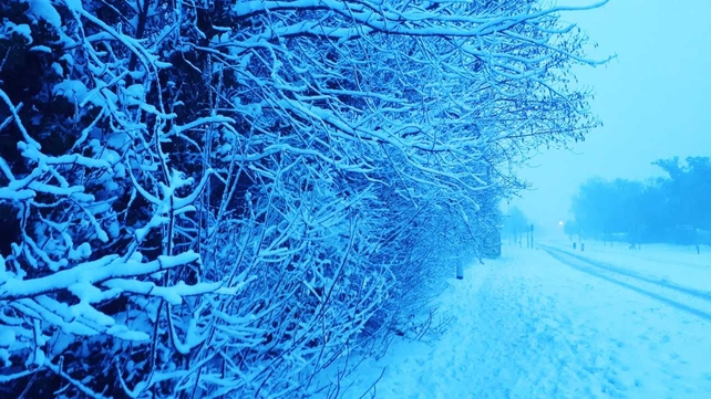 White in Rathfarnham. By Remo Jansen