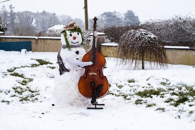 Cello time in Charleville. By Susie Butler