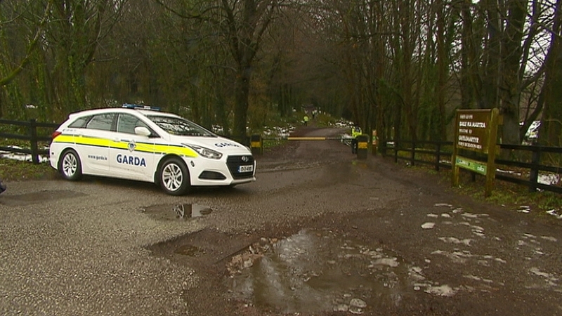 Gardaí have sealed off Mitchell's Wood outside Castlemartyr