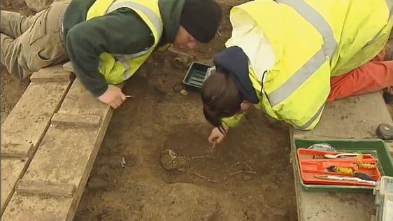 Skeletal Remains Discovered in Galway (2008)