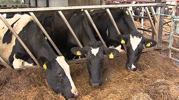 Today's announcement will help meet the costs of importing 20,000 tonnes of fodder