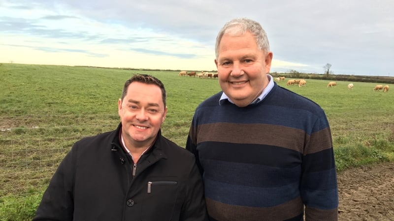 Irish farm plans to generate energy from old veggies