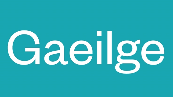 Leaving Cert Irish Higher Level expert tutorial videos