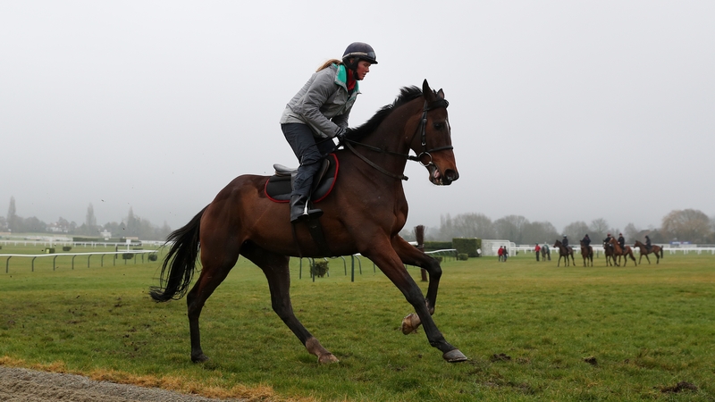 Douvan's (pictured) brother Jonbon will race in the famous green and gold silks of JP McManus
