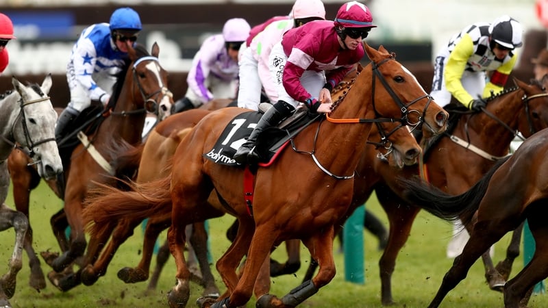 Samcro will be in action at the Punchestown Champion Hurdle