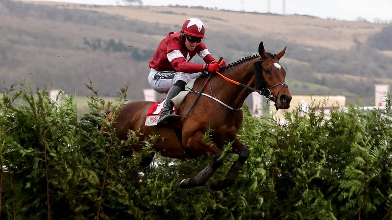 Tiger Roll connections are hopeful he will make the Boyne Hurdle at Navan in February