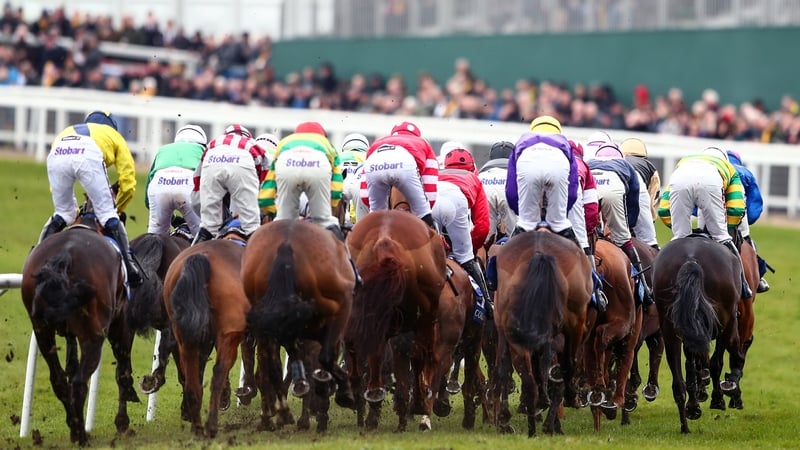 The third day of the Cheltenham Festival looks to be another good one for the Irish