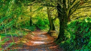 "Eskers (from the Irish eiscir) are sinuous ridges of sand and gravel deposited within tunnels carved by great rivers at the edge of the ice sheet during the last glaciation". Esker Monastery, Esker, Athenry, Co Galway. Photo: Larry Morgan