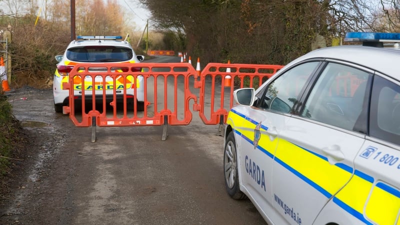 Beirt fhear gafa ag Gardaí i Loch Garman