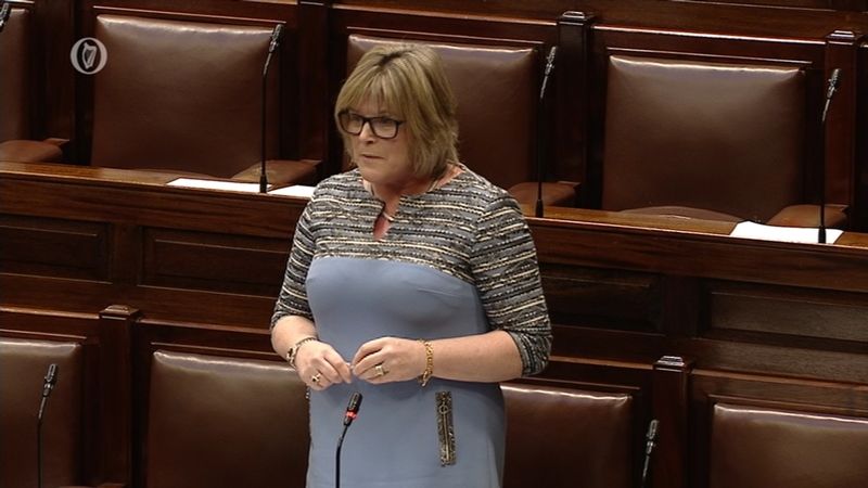 Fianna Fáil TD Mary Butler said she would work with the Government to ensure the 'safety of women'