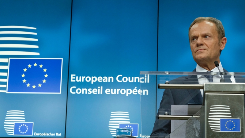 EU president Donald Tusk said the 28 leaders unanimously backed a statement that Russian involvement was the "only plausible explanation"